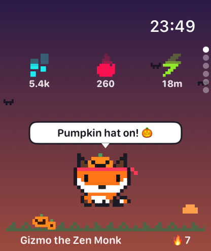A fox in a pumpkin hat on a Halloween evening says: Pumpkin hat on!