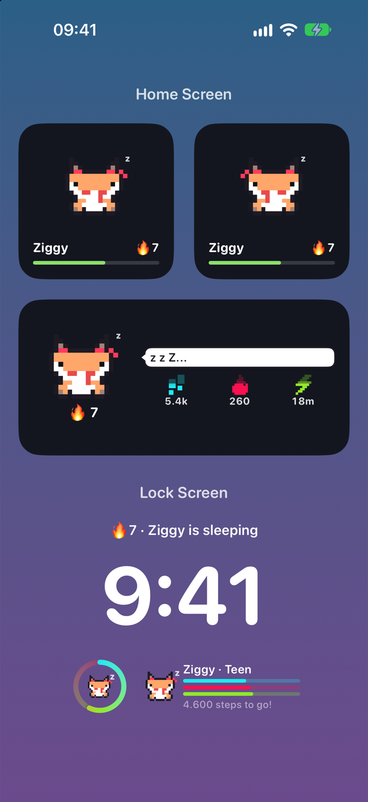 Home Screen and Lock Screen widgets